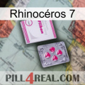 Rhinocéros 7 32